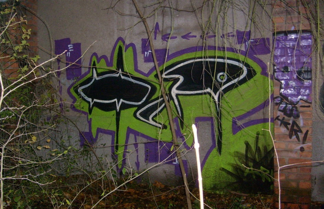 Graffiti Bombing - Photo by FreakHcr - HCR