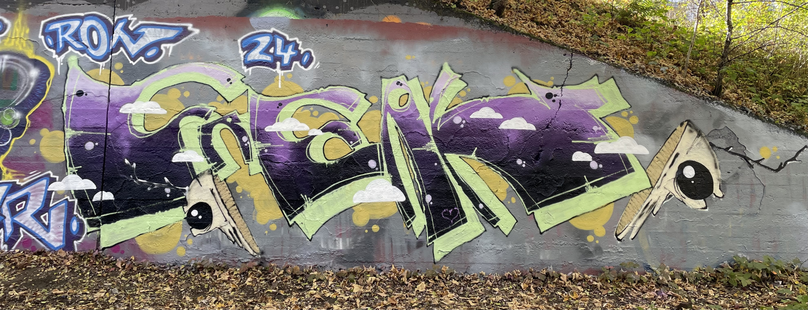 Photo #242860 by iobe1