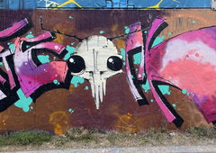 Graffiti Wall - Photo by FreakHcr - Freak, HCR (2024)