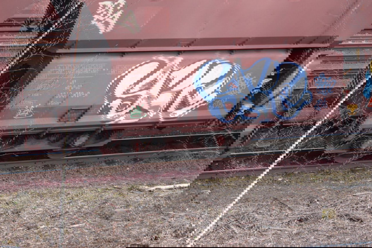 Graffiti Train - Photo by FreightsRipper - spe, fr8, freight