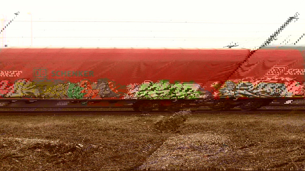 Graffiti Train - Photo by FreightsRipper - robo, nemk, gekoe