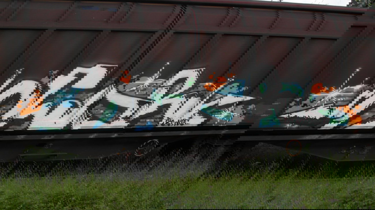 Graffiti Train - Photo by FreightsRipper - deor, freight, train