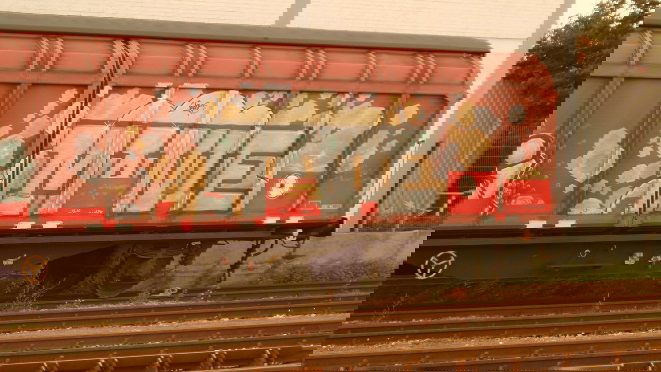 Graffiti Train - Photo by FreightsRipper - manie, fr8, freight