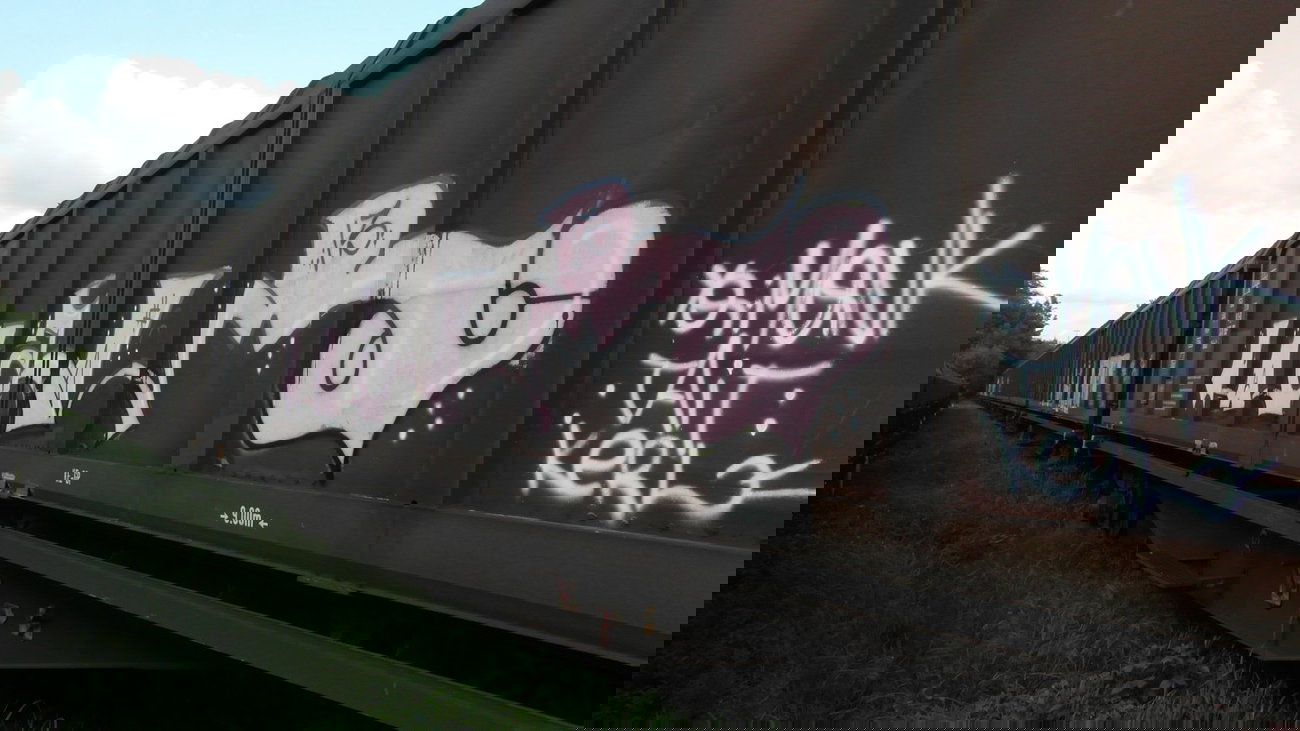 Graffiti Train - Photo by FreightsRipper - lazor, fr8, freight