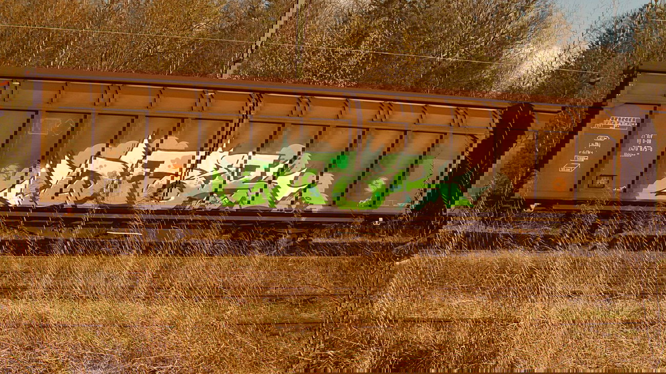 Graffiti Train - Photo by FreightsRipper - deor, freight, fr8