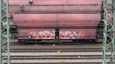 Graffiti Train - Photo by FreightsRipper - osel, freight, fr8