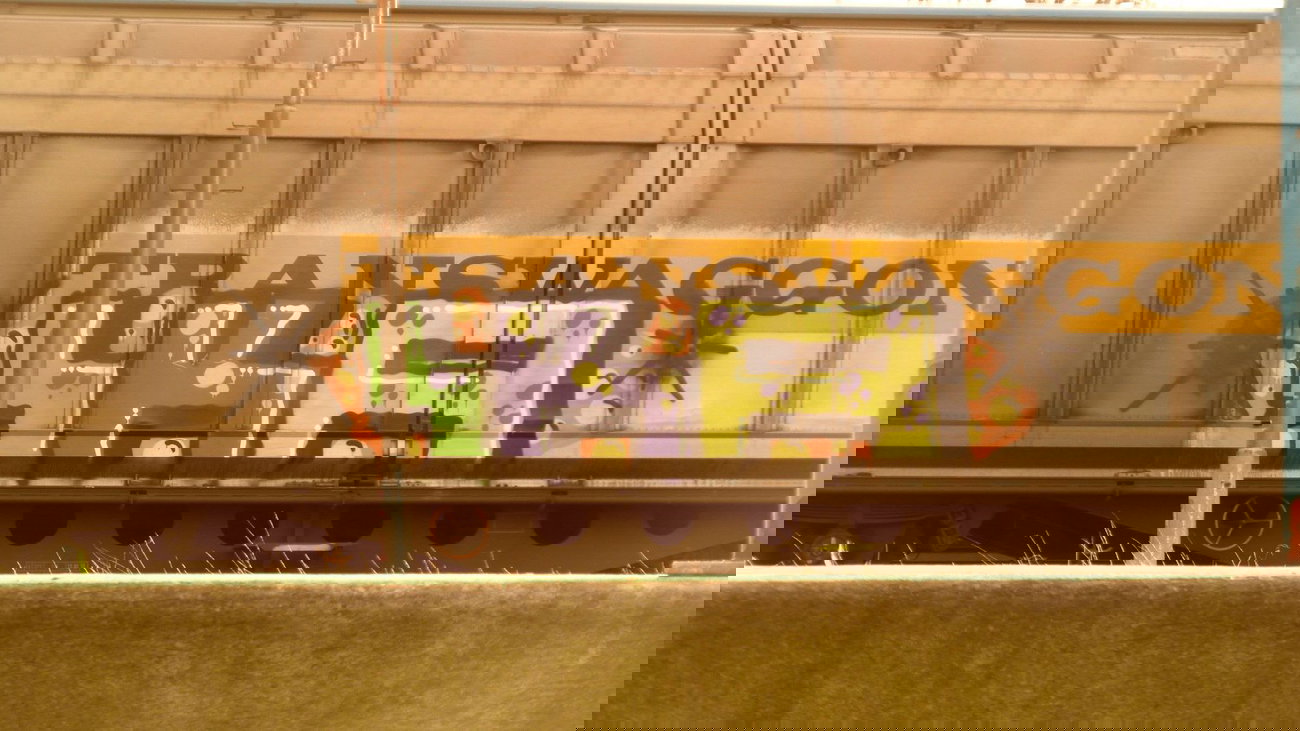 Graffiti Train - Photo by FreightsRipper - fr8, freight