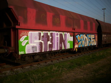 Graffiti Train - Photo by FreightsRipper - stein, jpeg, jdee