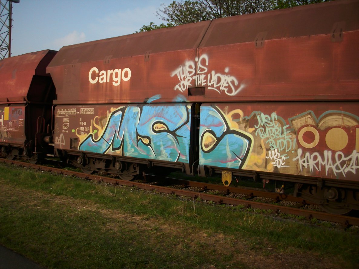 Graffiti Train - Photo by FreightsRipper - msc, fr8, freight