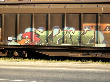 Graffiti Train - Photo by FreightsRipper - nor, fr8, freight