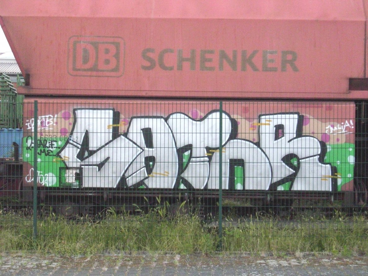 Graffiti Train - Photo by FreightsRipper - sator, freight, fr8