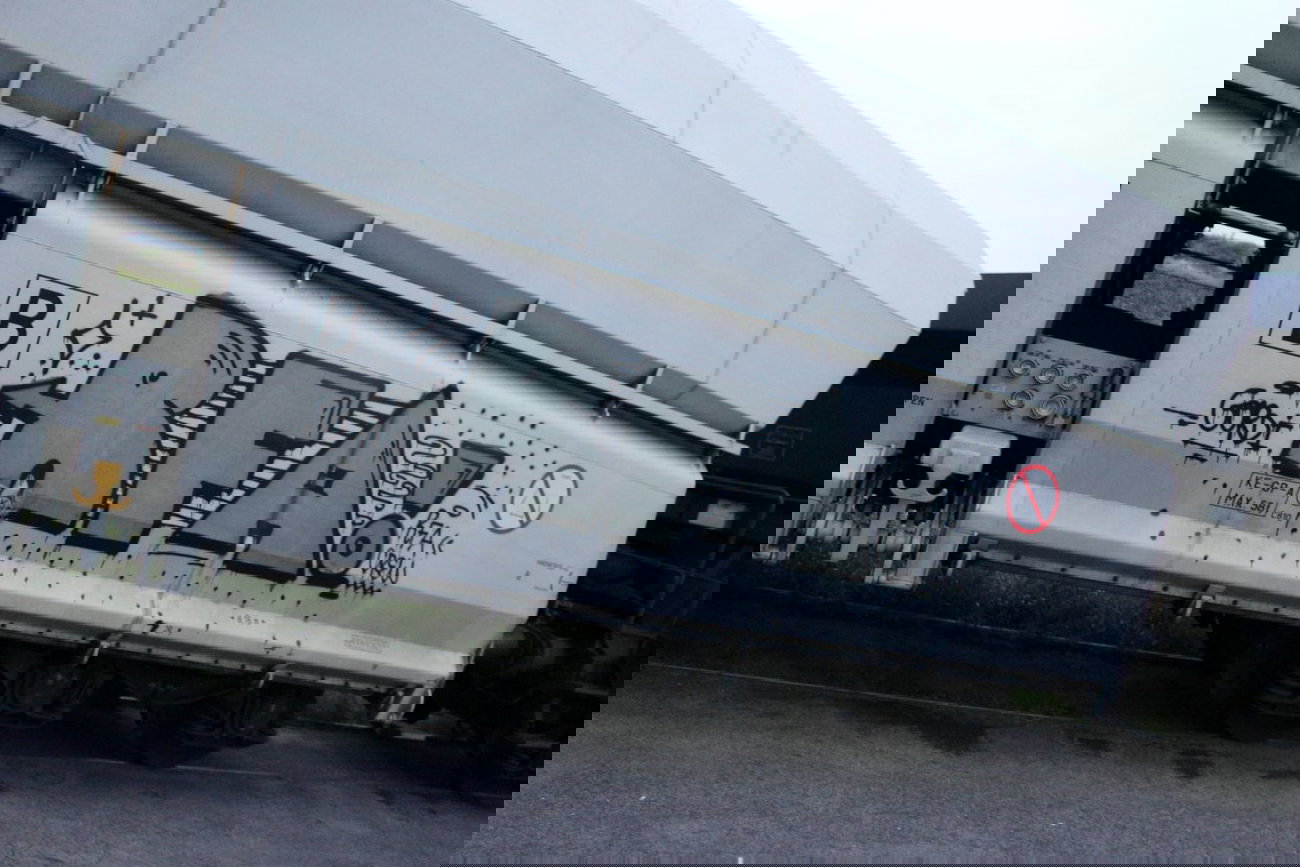 Graffiti Train - Photo by FreightsRipper - rfa, fr8, freight