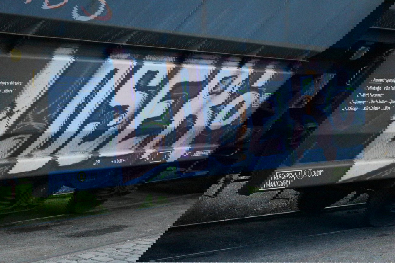 Graffiti Train - Photo by FreightsRipper - loser, fr8, freight