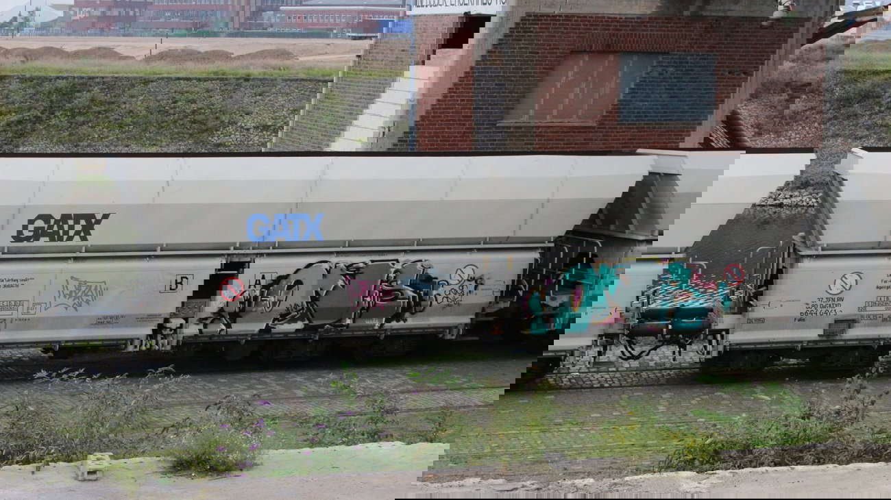 Graffiti Train - Photo by FreightsRipper - onis, fr8, freight