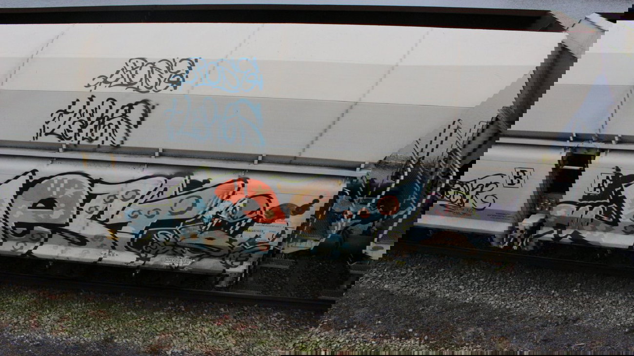 Graffiti Train - Photo by FreightsRipper - jest, fr8, freight