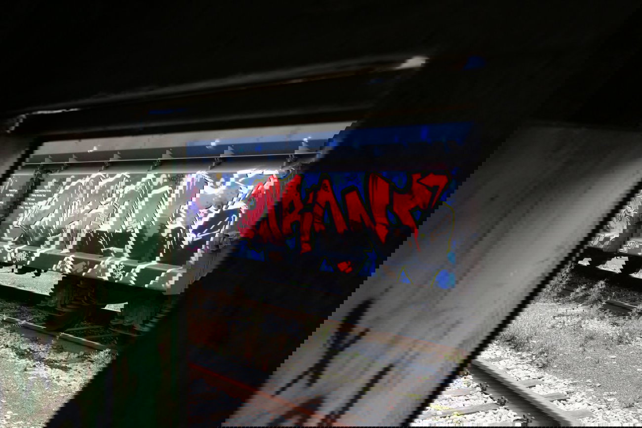 Graffiti Train - Photo by FreightsRipper - wrong, fr8, freight