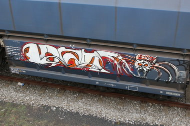 Graffiti Train - Photo by FreightsRipper - lazor, fr8, freight