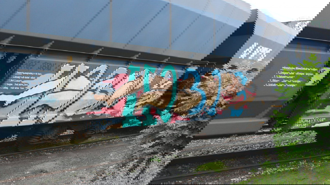 Graffiti Train - Photo by FreightsRipper - hobos, fr8, freight