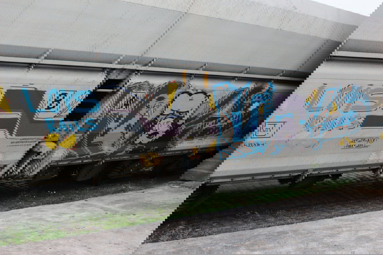 Graffiti Train - Photo by FreightsRipper - loys, freight, fr8