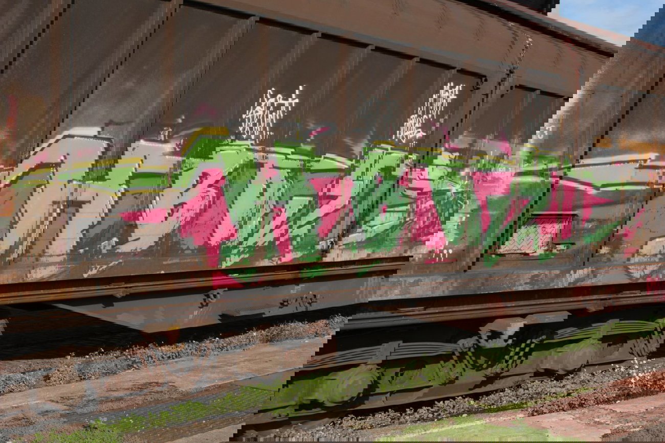 Graffiti Train - Photo by FreightsRipper - hboy, fr8, freights