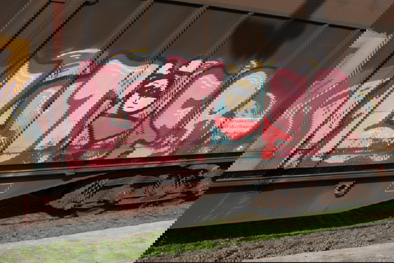 Graffiti Train - Photo by FreightsRipper - luter, fr8, freight