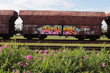 Graffiti Train - Photo by FreightsRipper - meksr, fr8, freight