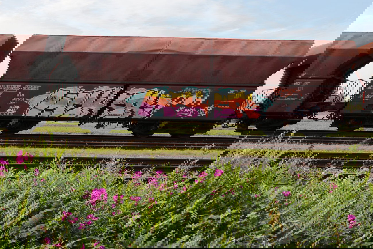 Graffiti Train - Photo by FreightsRipper - meksr, fr8, freight