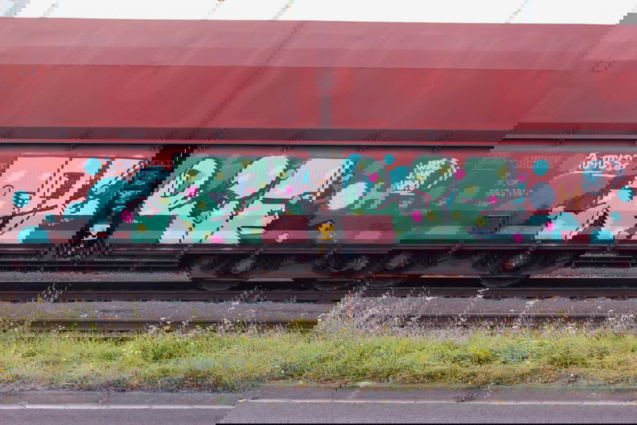 Graffiti Train - Photo by FreightsRipper - tarif, fr8, freight