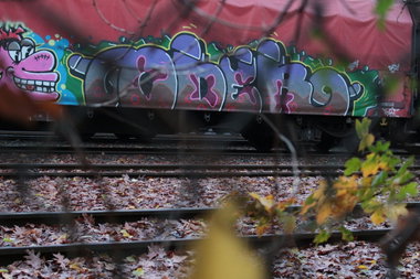Graffiti Train - Photo by FreightsRipper - oder, fr8, freight
