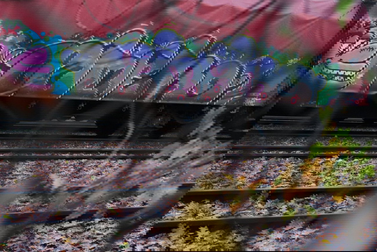 Graffiti Train - Photo by FreightsRipper - oder, fr8, freight