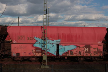 Graffiti Train - Photo by FreightsRipper - dose, fr8, freight