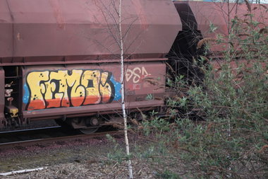 Graffiti Train - Photo by FreightsRipper - femo, fr8, freight