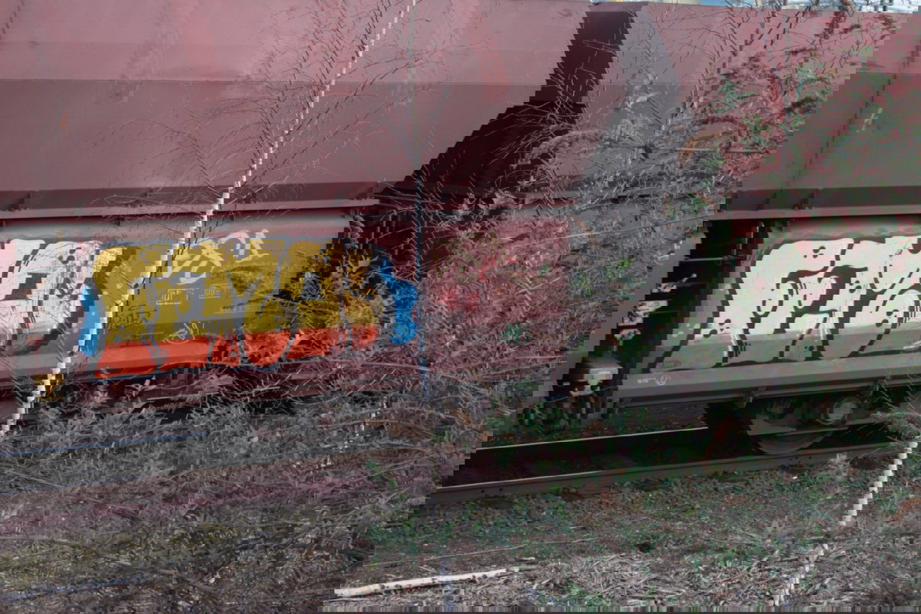 Graffiti Train - Photo by FreightsRipper - femo, fr8, freight