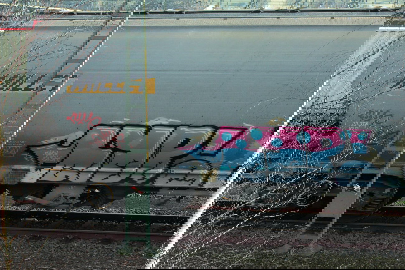 Graffiti Train - Photo by FreightsRipper - fr8, freight, train