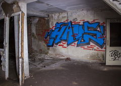 Photo #207449 by Homs