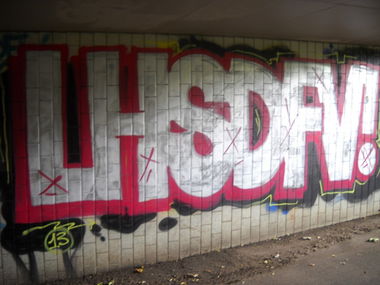Graffiti Bombing - Photo by Fremi - LHSDFV (2013)