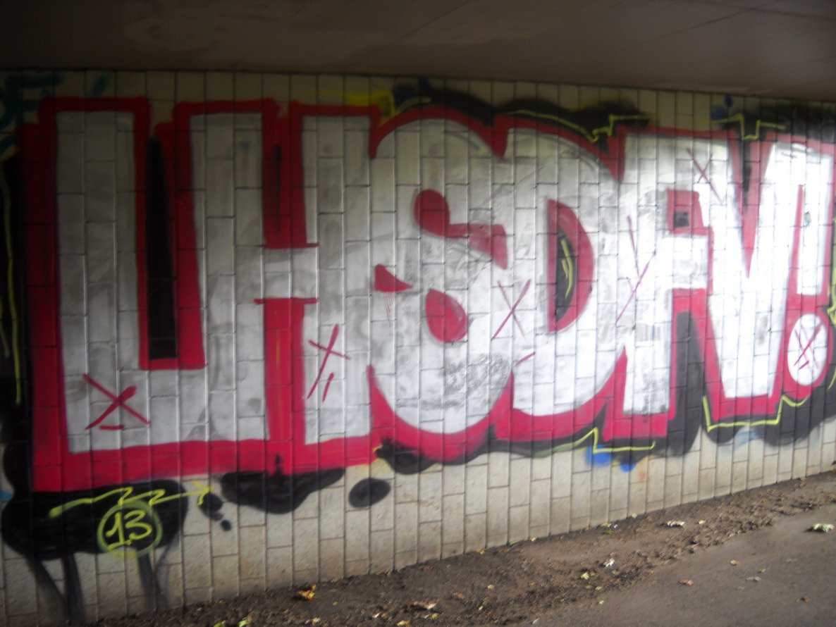 Graffiti Bombing - Photo by Fremi - LHSDFV (2013)