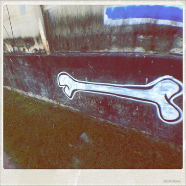 Graffiti Bombing in Salvador - Photo by Freshfunkbone - Freshfunkbone, Bone, Streetlogo