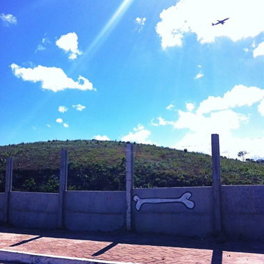 Graffiti Bombing in Salvador - Photo by Freshfunkbone