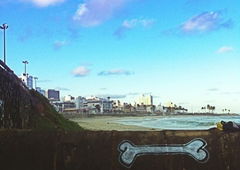 Photo #5554 by Mulde