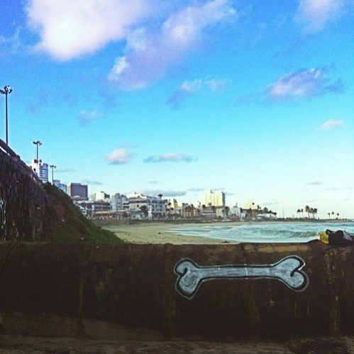 Graffiti Bombing in Salvador - Photo by Freshfunkbone - Freshfunkbone