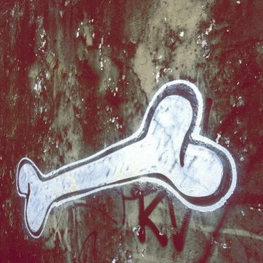 Graffiti Bombing in Salvador - Photo by Freshfunkbone - Freshfunkbone