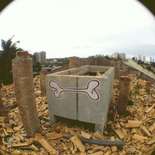 Graffiti Bombing in Salvador - Photo by Freshfunkbone - Freshfunkbone