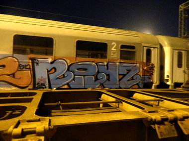 Graffiti Train - Photo by FriendOrFoe - Royz, Scd (2013)