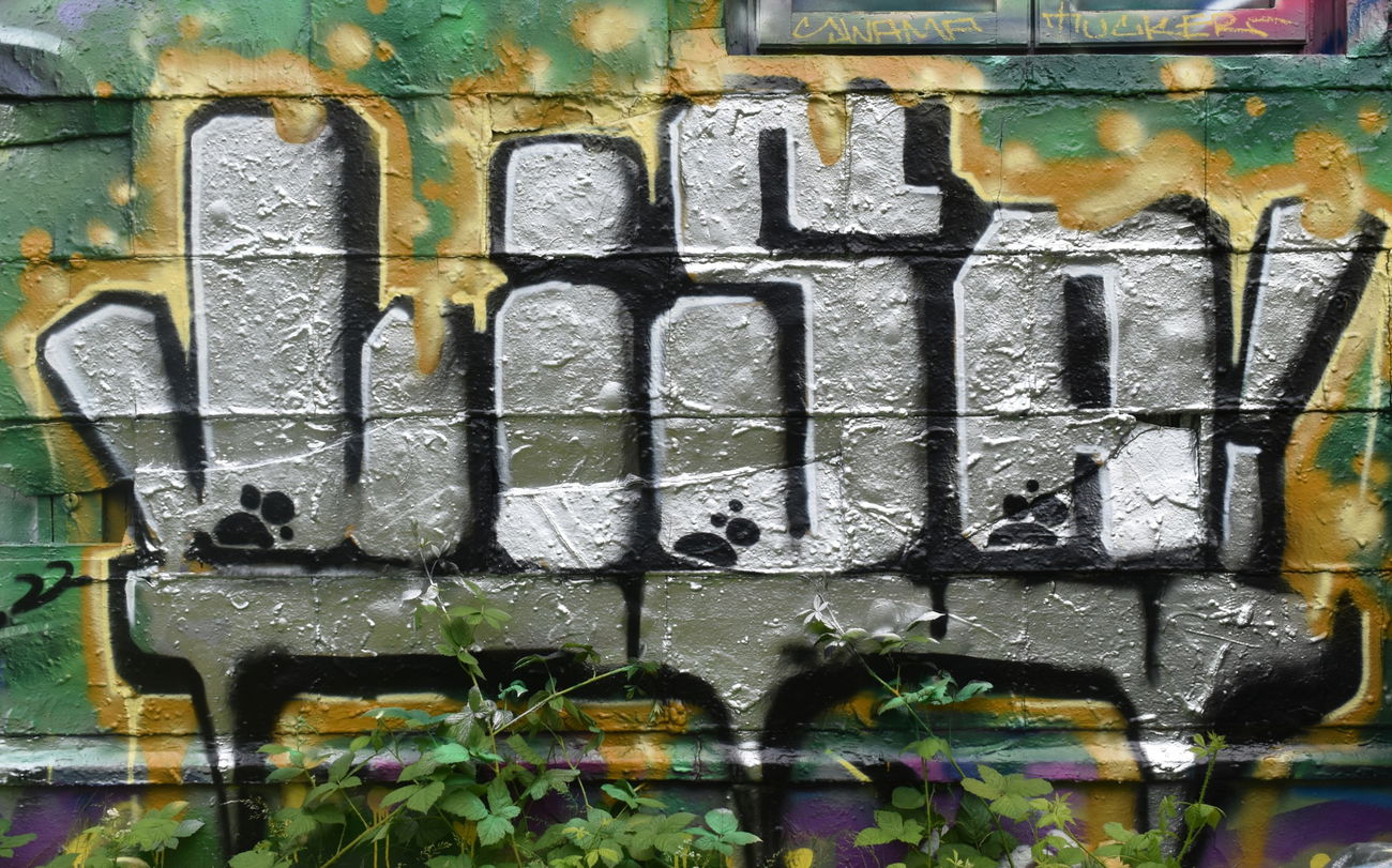 Graffiti Wall - Photo by Frizeart77 (2022)