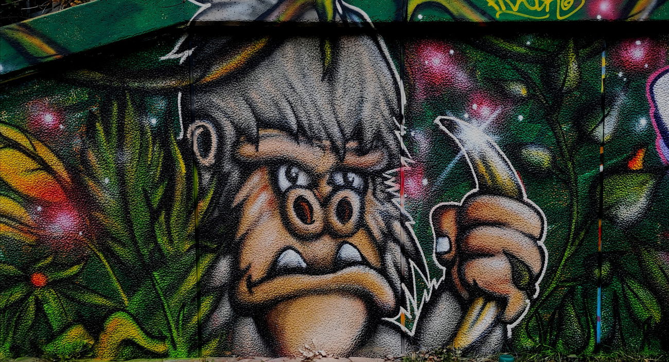 Graffiti Wall - Photo by Frizeart77 (2020)