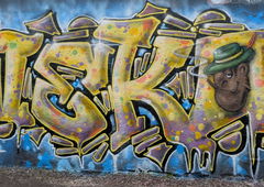 Photo #249275 by TheWallHunter