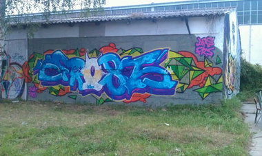 Graffiti Wall in Magdeburg - Photo by Frost - frost (2012)