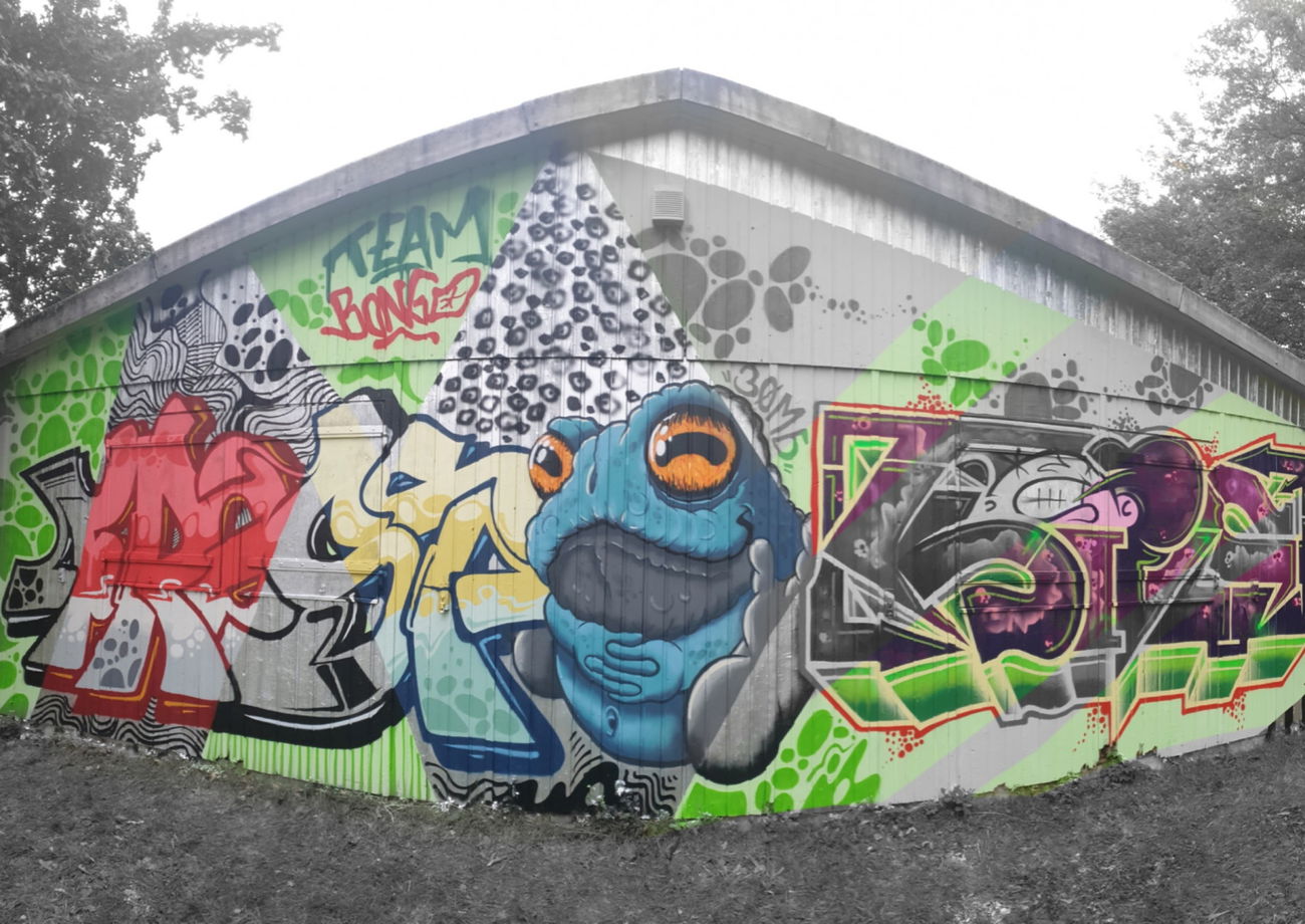 Graffiti Wall - Photo by Frost - bongos, bongoclique, graffitiart (2019)