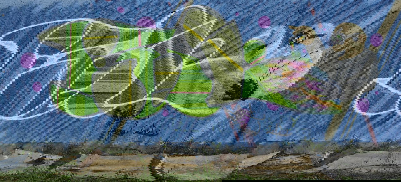 Graffiti Wall in Wittenberge - Photo by Funkanimal - funk, lac (2012)